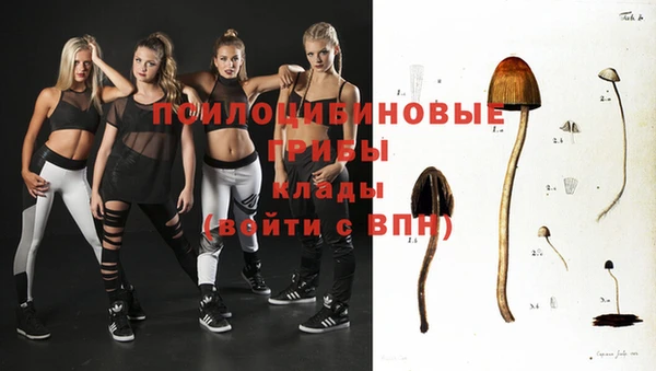 молекула духа Бронницы