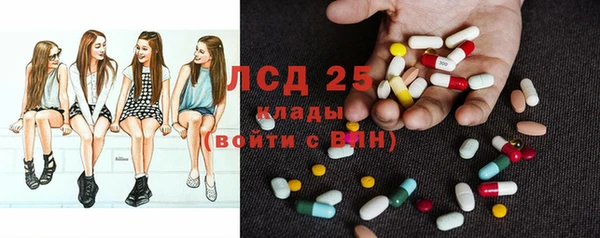 эйфоретик Алзамай