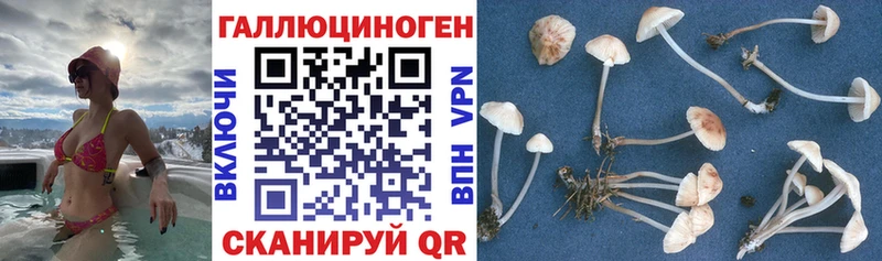 Псилоцибиновые грибы MAGIC MUSHROOMS  Боровск 